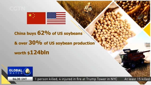 China Us Tariffs Us Soybean Group Calls Tariffs Devastating Cgtn